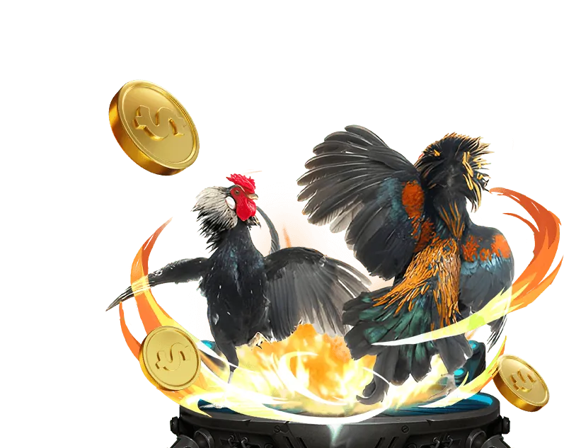 Hướng dẫn đặt cược đá gà win79 casino